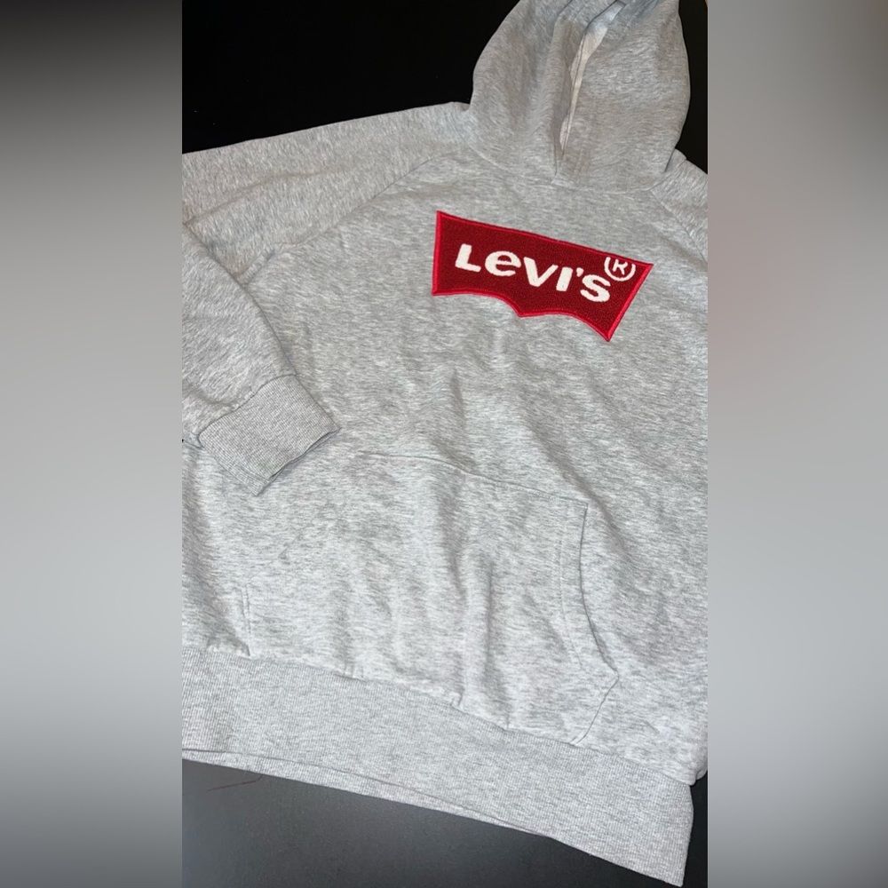 Levi’s Youth Pullover Hooded Sweatshirt With Fuzzy Logo Size Xl 13-15 Euc
